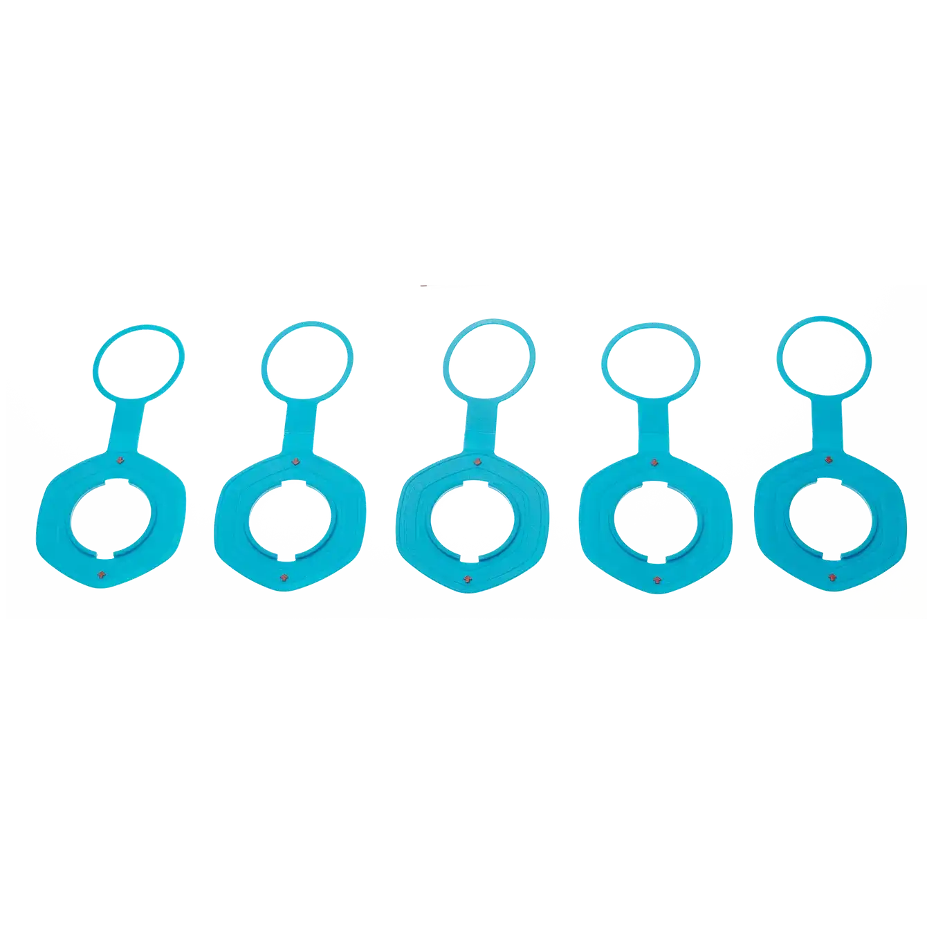 Duotone Air Port Valve II disc